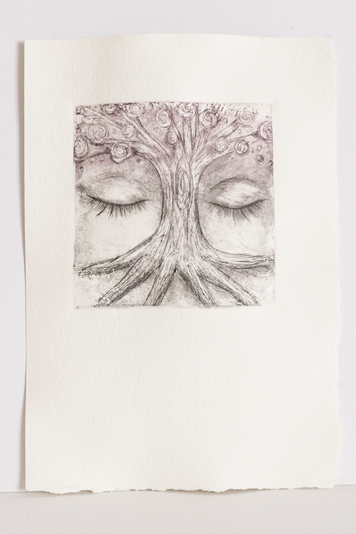 Mis raices - flores violeta