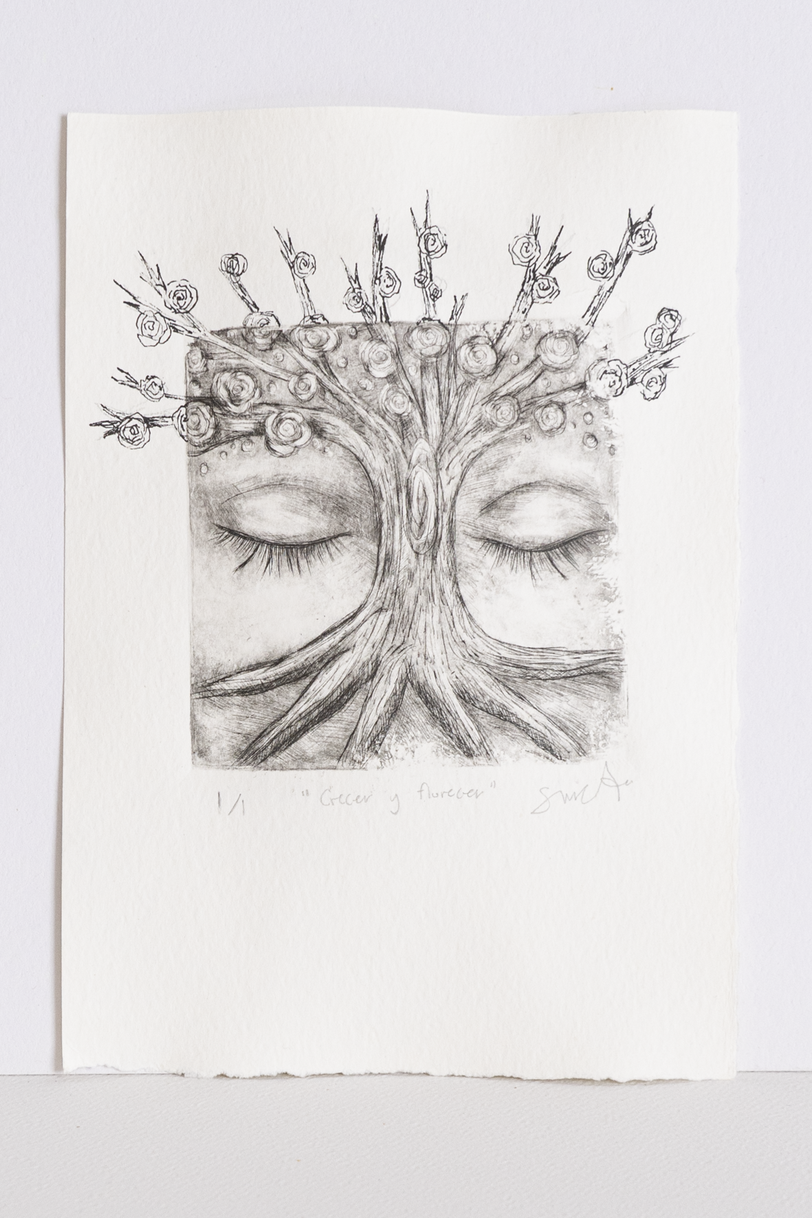 Mis raices - intervenido